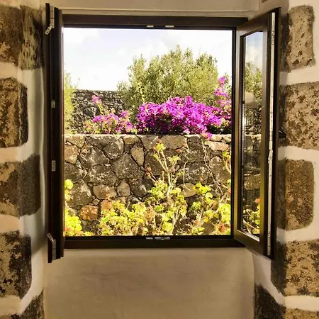 Casa Olivos *